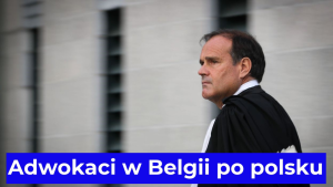 Adwokaci w Belgii po polsku