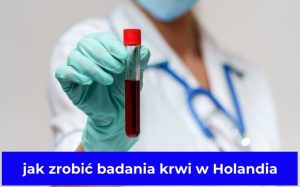 jak zrobić badania krwi w Holandia