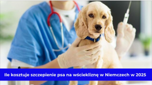 Ile kosztuje szczepienie psa na wściekliznę w Niemczech w 2025